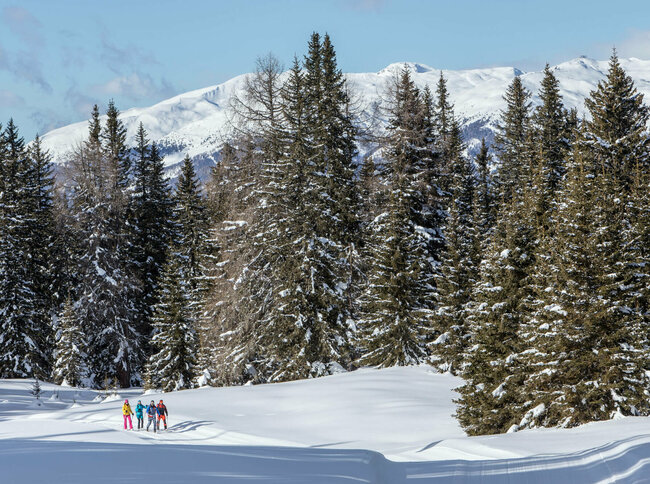 Eine Gruppe beim Winterwandern durch einen verschneiten Wald in Kartitsch