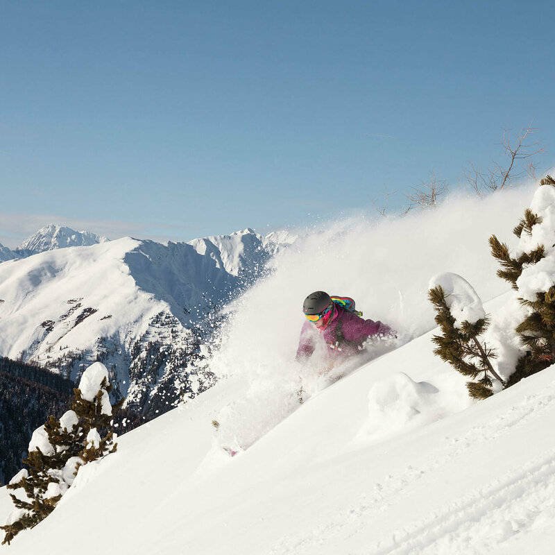 Freeriden - Skizentrum Sillian Hochpustertal Der Pulverschnee staubt dem Freerider ins Gesicht, der zwischen zwei aus dem Tierschnee ragenden Zirben ins Tal fährt. Im Hintergrund verschneite Berge an einem sonnigen Wintertag.