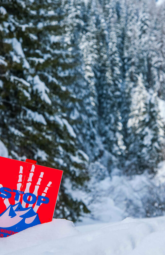 Lawinengefahr Eine rot, weiß, blaue Lawinengefahrtafel in einem frisch verschneitem Wald.