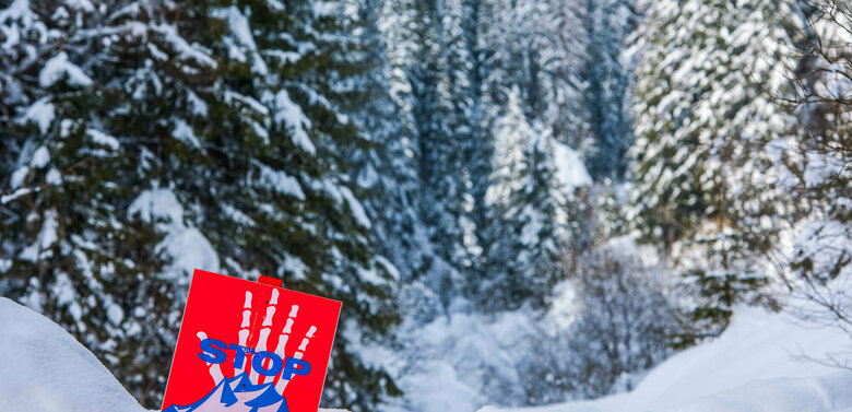 Eine rot, weiß, blaue Lawinengefahrtafel in einem frisch verschneitem Wald.