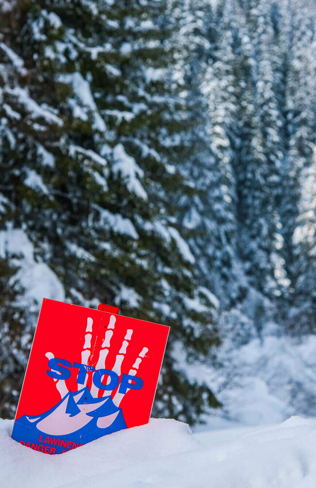 Lawinengefahr Eine rot, weiß, blaue Lawinengefahrtafel in einem frisch verschneitem Wald.