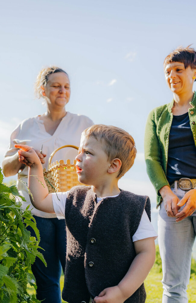 Brennnessel pflücken
