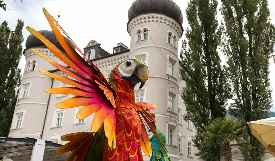 Ein riesiger, organgefarbener Papagei des Theatro Pavana stolziert bei Olala am Lienzer Hauptplatz umher.