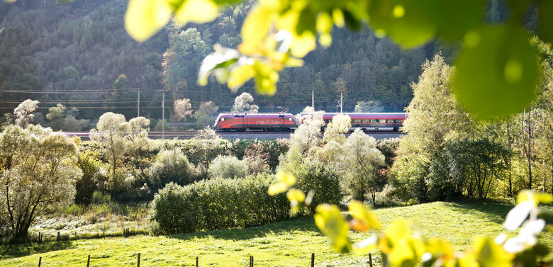 ÖBB Railjet aus weiter Entfernung in der Natur mit Bäumen und Sträuchern umgeben.