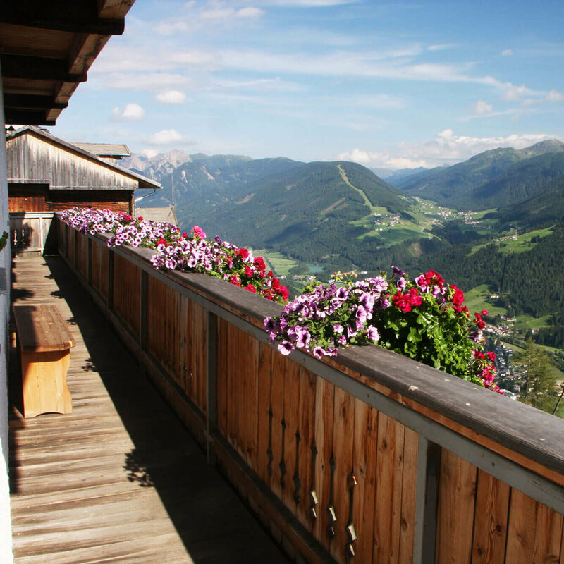 Ausblick vom Balkon mit bunten Blumen auf ein Tal mit Bergkulisse.