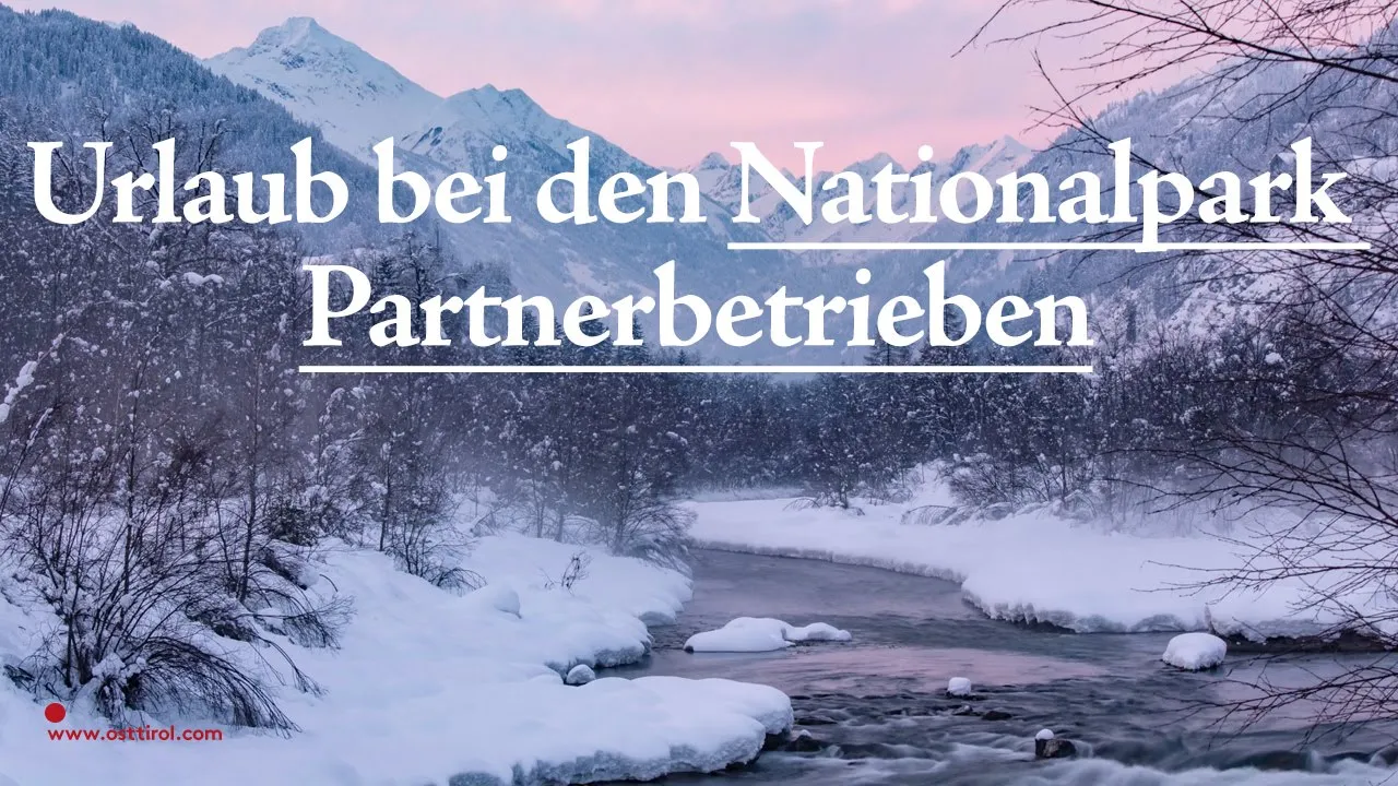 Wintervideo Nationalpark Partnerbetriebe Winterliche Landschaft mit einem Bach und Bergen im Hintergrund bei Abendrot und über dem Bild ein weißer Schriftzug "Urlaub bei den Nationalpark Partnerbetrieben"