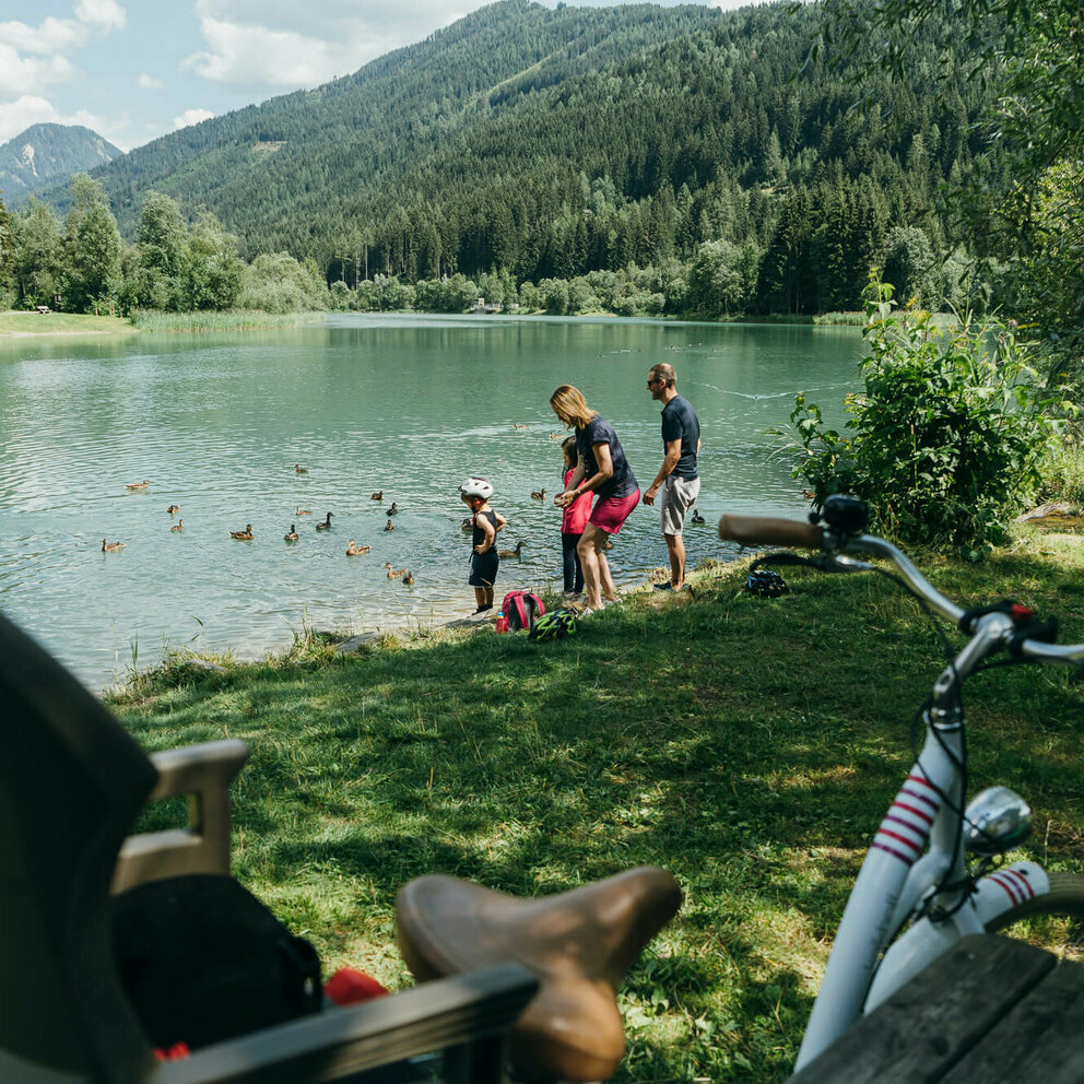 Stausee Tassenbach Strassen Familie mit zwei kleinen Kindern steht am Ufer des Tassenbacher Stausees und beobachtet einige Enten.