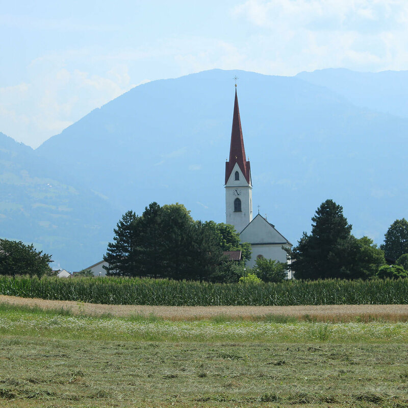 Die Tristacher Kirche mit einem blühenden Feld davor und Bergkulisse dahinter.