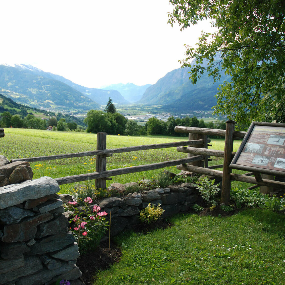 Blick von Thurn aufs Kaerntner Tor Blick von Thurn auf das Kaerntner Tor. Im Vordergrund ist ein Holzzaun mit einer braunen Infotafel.