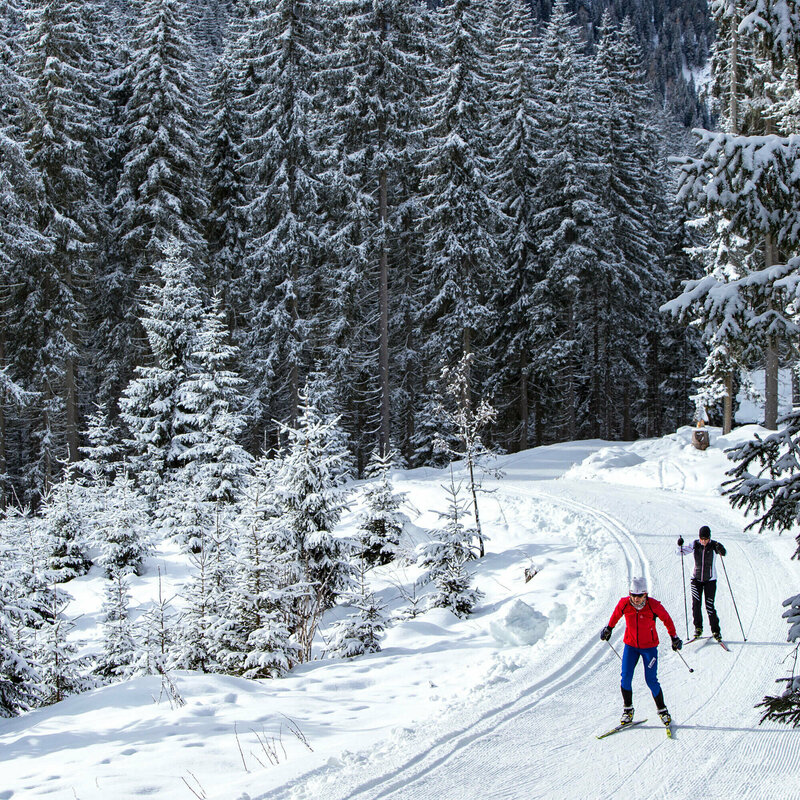Langlauf Granzlandloipe Zwei Langläufer:innen beim Langlaufen auf der Granzlandloipe