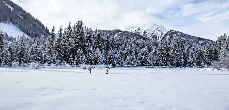 Langlaufgenuss auf der Grenzlandloipe Zwei Langläufer:innen auf der Grenzlandloipe mit einem frisch verschneiten Wald im Hintergrund