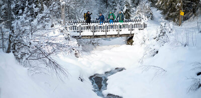 Ein Ranger zeigt drei Personen den Winterzauber im Defreggental. Sie stehen auf einer verschneiten Brücke über einem kleinen Bach.