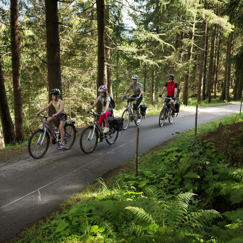Radfahrer fahren auf dem asphaltierten Drauradweg durch den Wald.