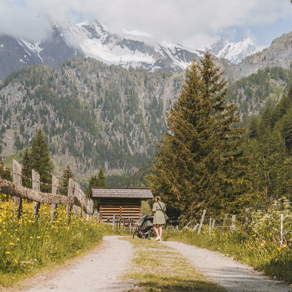 Wandern mit Kinderwagen Prägraten Wandern mit Kinderwagen Prägraten