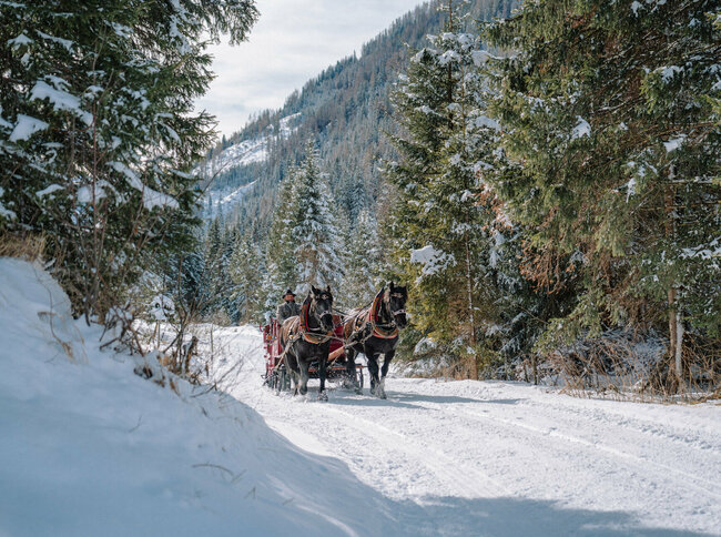 Eine Pferdekutschenfahrt im Winter durch das Winkeltal im Villgratental in Osttirol.