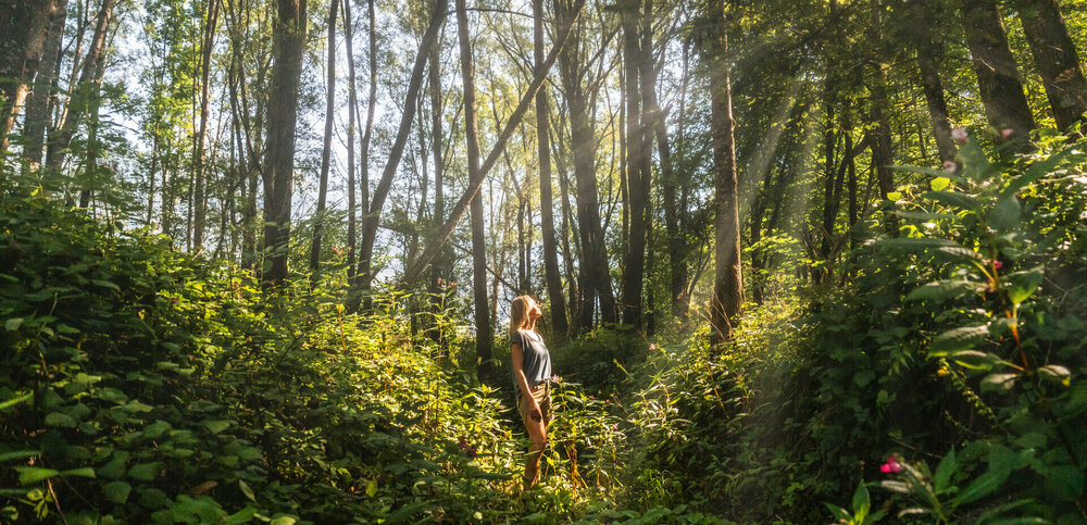 Eine Frau steht in einem Wald, während Sonnenstrahlen durch die Bäume fallen.
