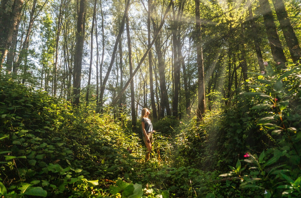 Eine Frau steht in einem Wald, während Sonnenstrahlen durch die Bäume fallen.