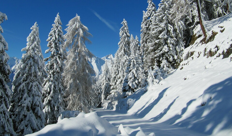 winterwandern in praegraten winterwandern in praegraten