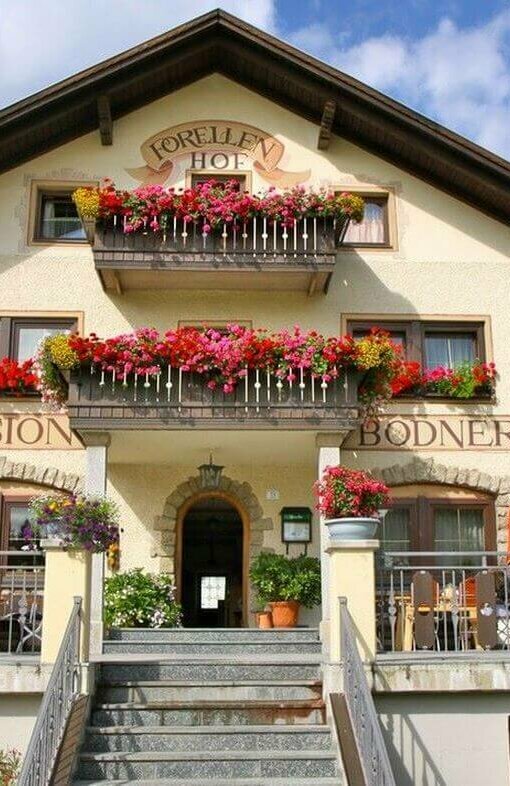 Gasthof Forelle Gasthof Forelle