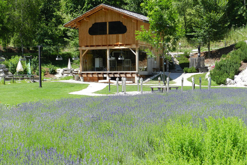 Die Ölbrennerei im Wohlfühlgarten Vitalpinum in Thal mit dem sogenannten ‚Latschenlift‘. Im Vordergrund erstreckt sich ein großes Lavendelfeld.