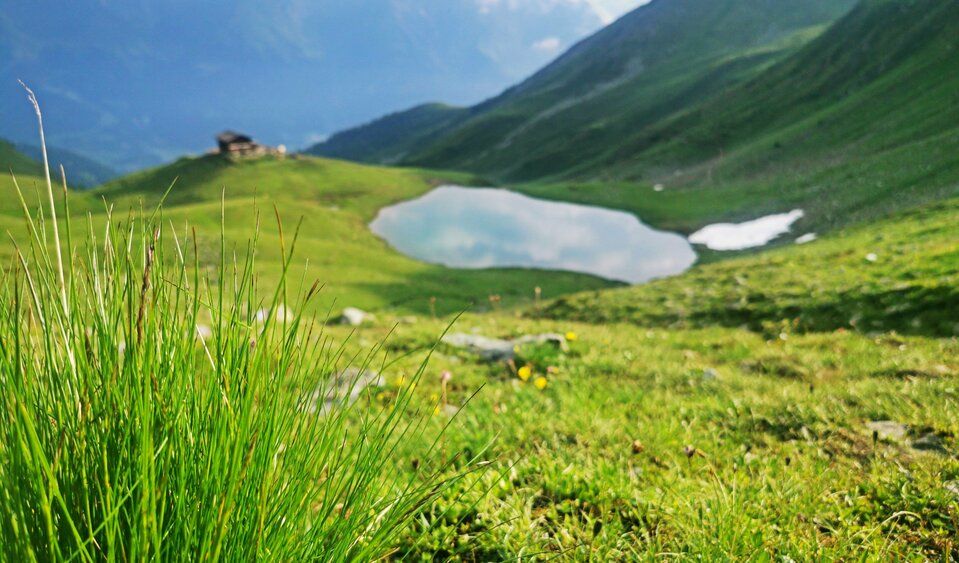 ...der feuchte Tau bei Wanderungen
