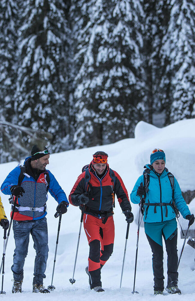Zwei Pärchen wandern bunt gekleidet in verschneiter Winterlandschaft mit Stöcken ausgerüstet und Rucksack auf einem Winterwanderweg.