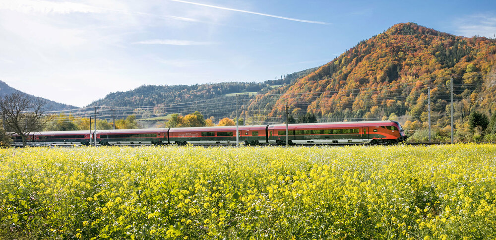 ÖBB Railjet mit blühender Wiese im Vordergrund und Bergen im Hintergrund.