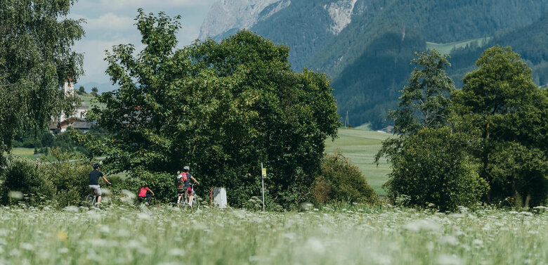 Drauradweg Strassen Radfahrer auf dem Drauradweg in Strassen durch die Felder mit einzelnen Bäumen und den Lienzer Dolomiten im Hintergrund