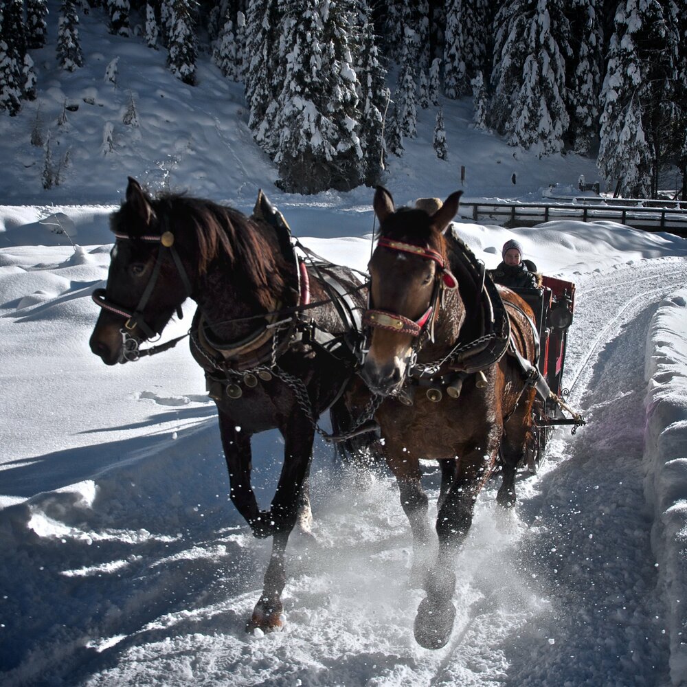 Kutschenfahrt durch den Tiefschnee im Winkeltal