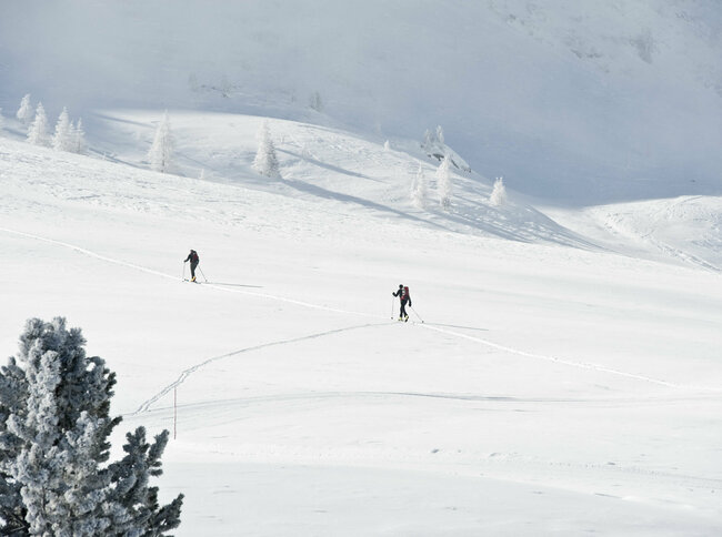 Zwei Skitourengeher:innen bei der Skitour im Defereggental 