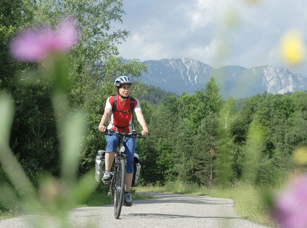 Eine Frau mit blauer Hose und rotem Shirt fährt mit ihrem Rad mit Gepäck entlang des Drauradwegs.