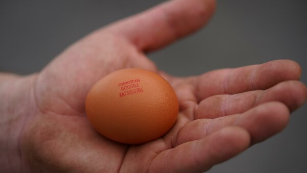 Ein Ei (Sonnseiten Goggile-Ei) liegt in einer offenen Hand. 