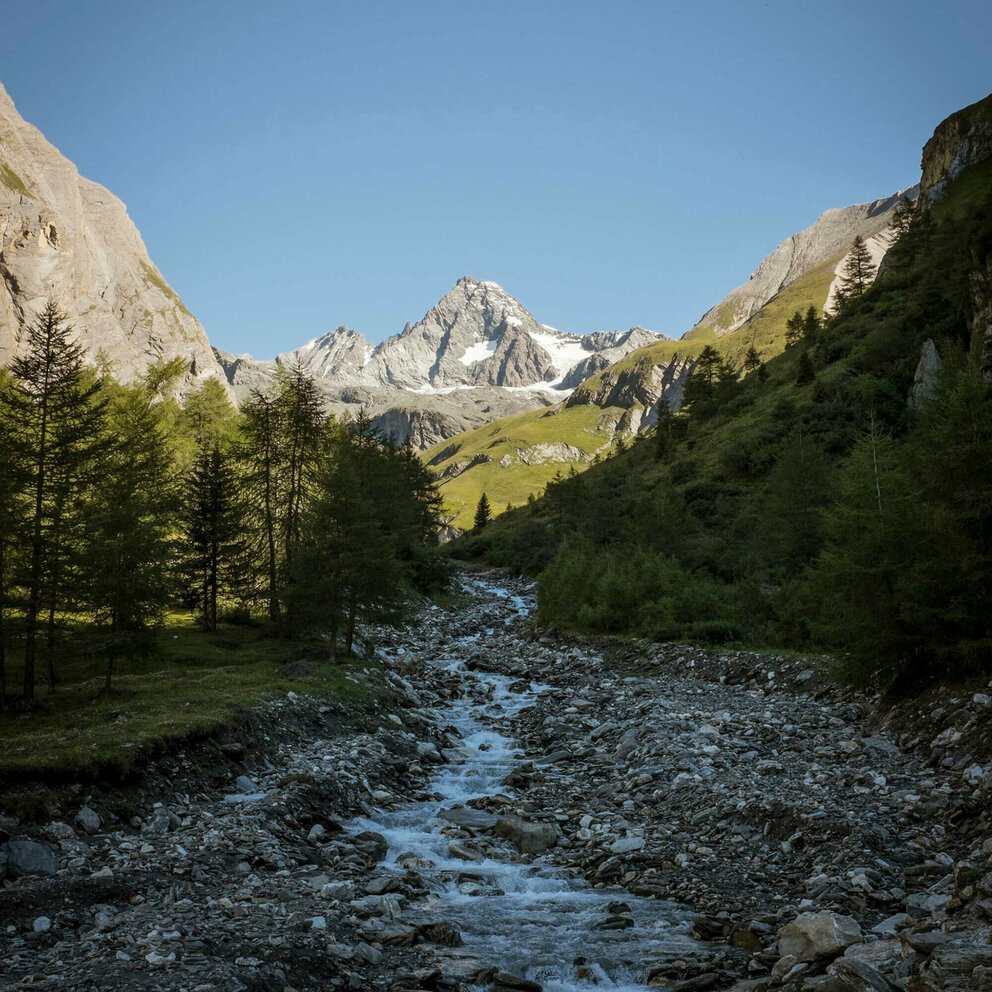 Grossglockner Blick auf einen kleinen Bach mit Grossglockner im Hintergrund an einem herrlichen Tag mit blauem Himmel.