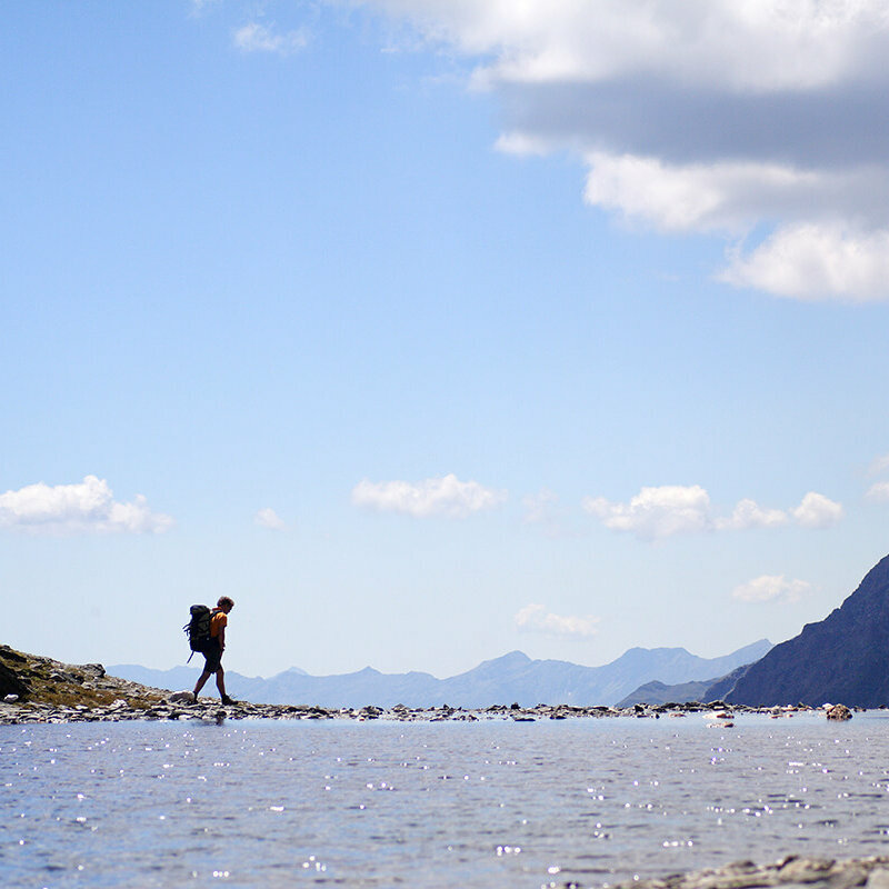 Zelocks See Zelocks See