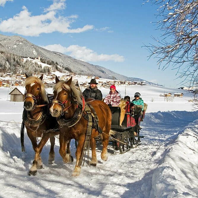 Winterlichte Pferdeschlittenfahrt in Strassen