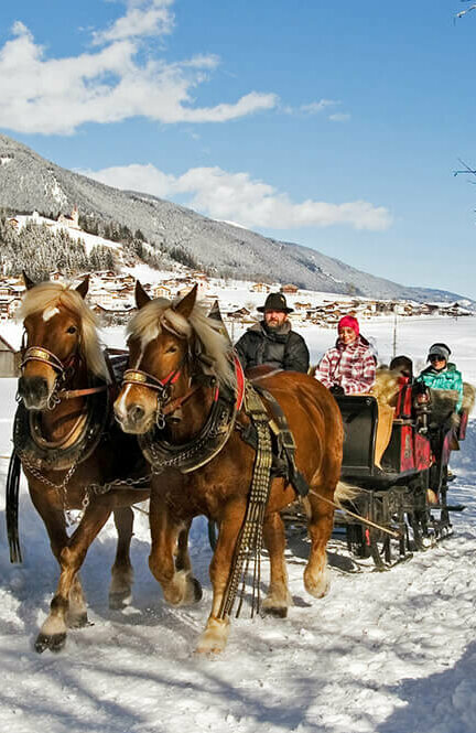 Winterlichte Pferdeschlittenfahrt in Strassen