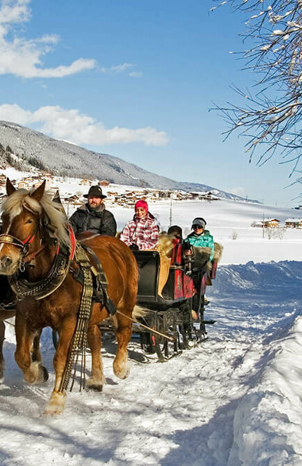 Winterlichte Pferdeschlittenfahrt in Strassen
