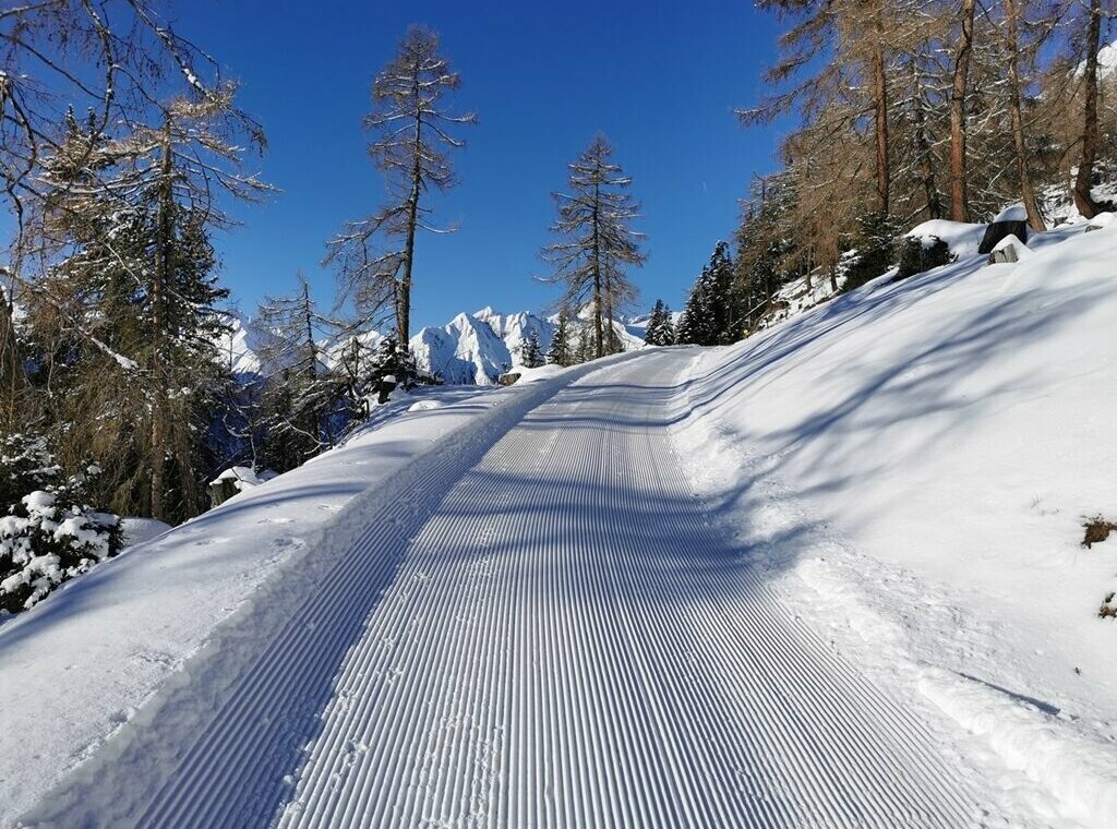 Ein frisch präparierter Winterwanderweg Richtung Bodenalm in Prägraten. Rechts und links stehen einige kahle Bäume und im Hintergrund ragen schneebedeckte Gipfel empor.