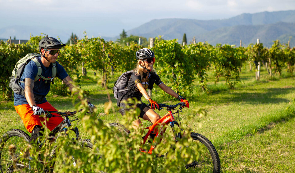 Radfahren Parkade Weinberg Unterwegs zwischen Weinbergen