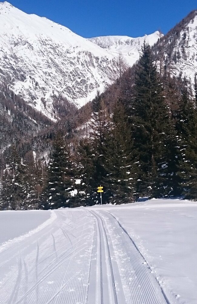Winterlandschaft mit Loipe in Kals