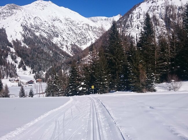 Winterlandschaft mit Loipe in Kals