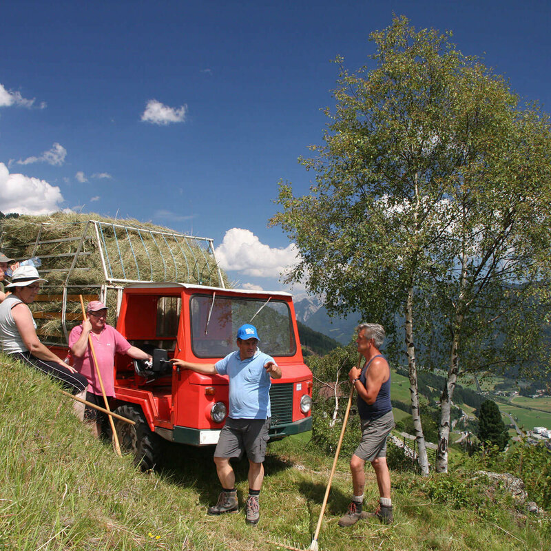 Heuernte Sillianberg Fünf Personen vor einem Fahrzeug mit Heu bei der Heuernte am Sillianberg.