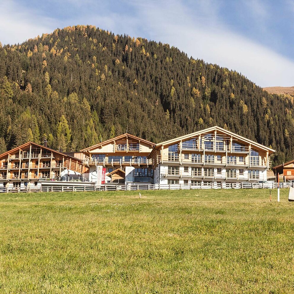 Die drei gleich aussehenden Häuser des Almfamilyhotel Scherers. Davor liegt eine grüne Wiese und dahinter erhebt sich ein bewaldeter Hang.