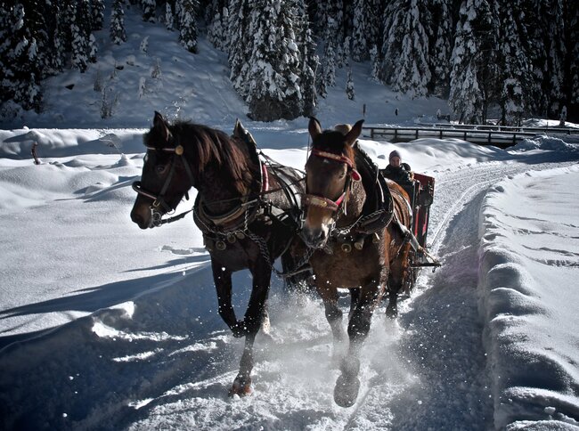 Pferdekutsche Eine Pferdekutsche mit zwei dunklen Pferden in einer verschneiten Winterlandschaft im Villgratental.