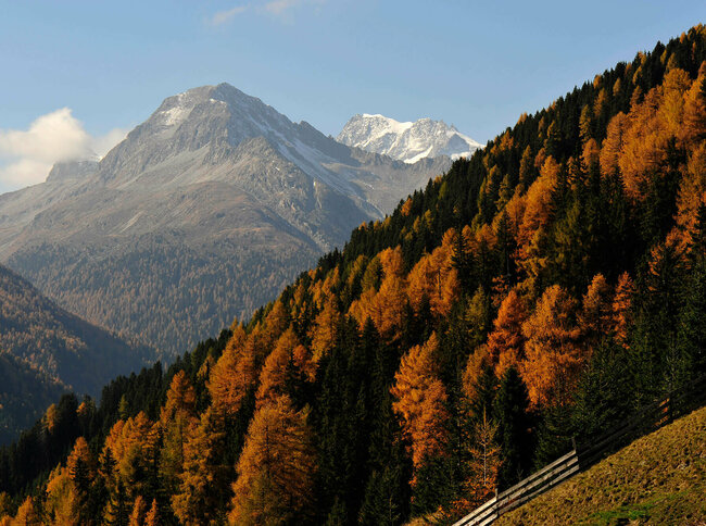 Herbstliche Stimmung der Natur mit verfärbten Wald im Defereggental
