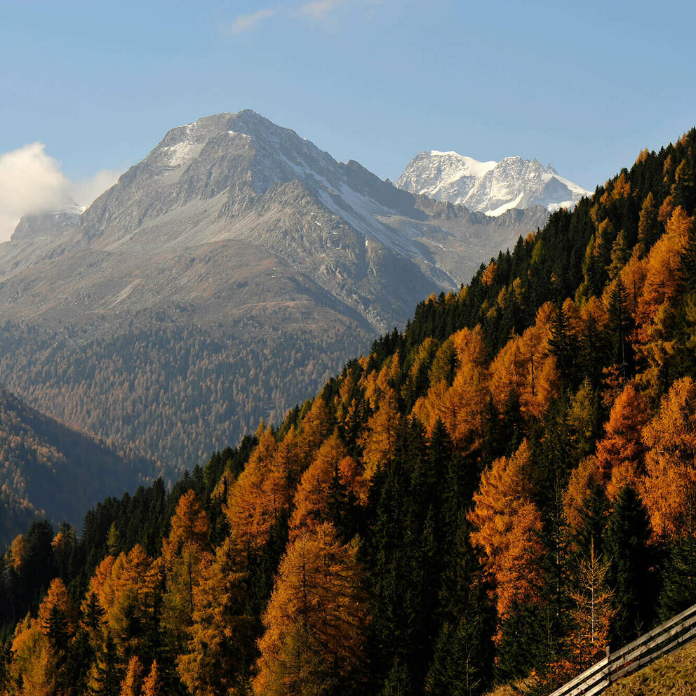 Herbstliche Stimmung der Natur mit verfärbten Wald im Defereggental