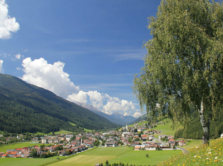 Sommerlicher Blick auf Sillian, eingerahmt von einer üppig blühenden Wiese; am rechten Rand ragt eine mächtige Birke empor.