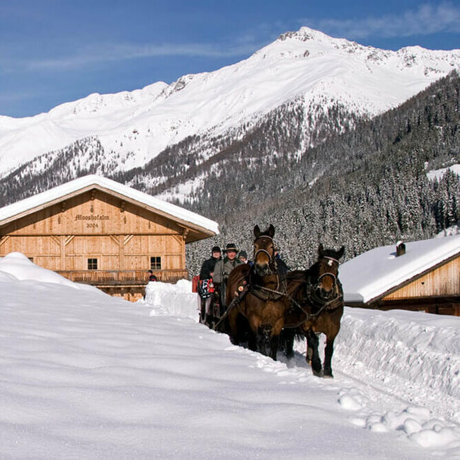 Pferdeschlittenfahrt - Ausservillgraten Winkeltal Mooshofalm Winterlichte Pferdeschlittenfahrt in Ausservillgraten - Winkeltal Mooshofalm