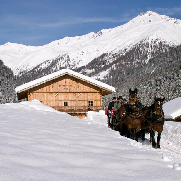 Winterlichte Pferdeschlittenfahrt in Ausservillgraten - Winkeltal Mooshofalm
