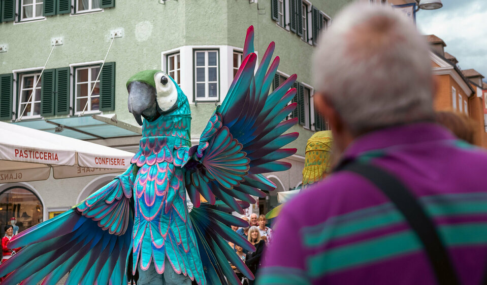 Ein großer Papagei in türkisem Kunstfederkleid schwingt seine großen Flügel inmitten des begeisterten Publikums bei Olala in Lienz. 